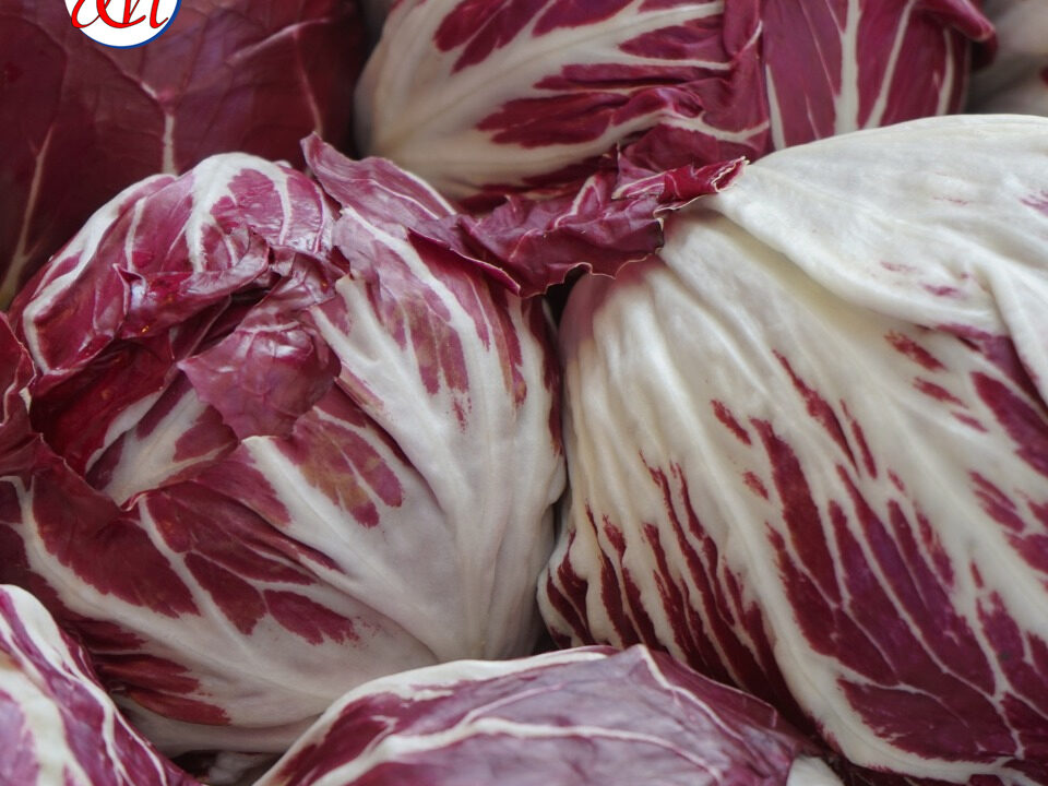 radicchio